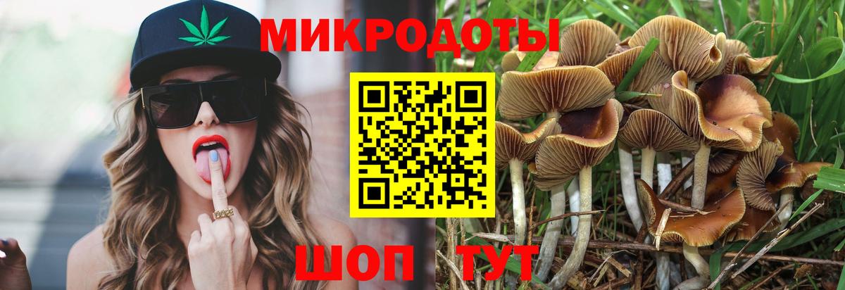 Псилоцибиновые грибы Magic Shrooms Волоколамск
